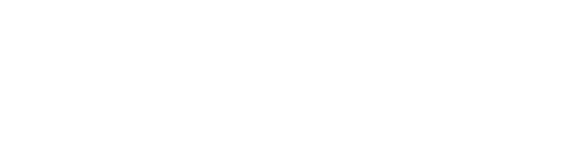I.T. OFFICIAL LINEAR LOGO WHITE HD Transparent1